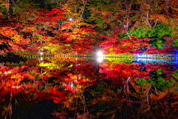 Hirosaki Castle Park Autumn foliage scenery view. Beautiful landscapes, the moat light up at night illuminate multicolor reflecting on surface. Hirosaki city, Aomori Prefecture, Japan