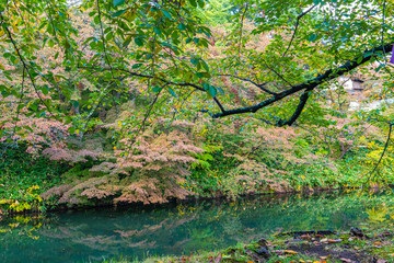 Fototapeta na wymiar Hirosaki Castle Park Autumn foliage scenery view. Beautiful landscapes of multicolor reflecting on surface in sunny day. Hirosaki city, Aomori Prefecture, Japan