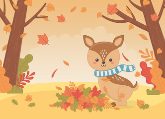 cute animal autumn season flat design