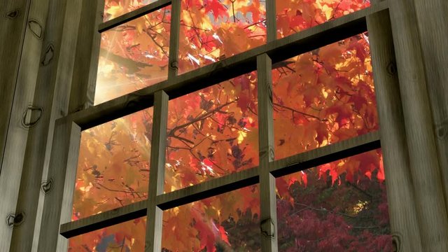  Fall colors outside window low angle.mov