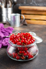 red currant