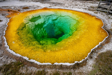 Morning Glory pool in Yellowstone National Park, Wyoming, USA