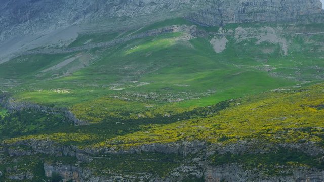 ERIZON (Echinospartum horridum), Garganta de Escuain , Ordesa y Monte Perdido National Park, Sobrarbe, Huesca Province, Aragon, Spain, Europe