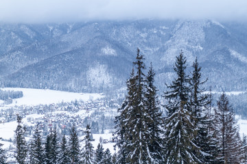 Winter aerial view of Zakopane from Gubalowka hill, Poland