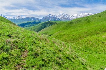 Fototapeta na wymiar Pastures of Alamedin valley with high snow covered mountains background, Kyrgyzstan