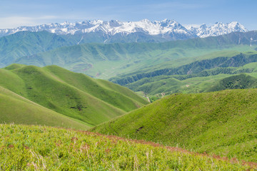 Fototapeta premium Pastures of Alamedin valley with high snow covered mountains background, Kyrgyzstan
