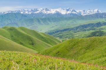 Pastures of Alamedin valley with high snow covered mountains background, Kyrgyzstan