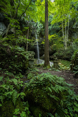 兵庫県　吉滝と吉滝神社の風景