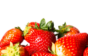 a lot of strawberries - white background