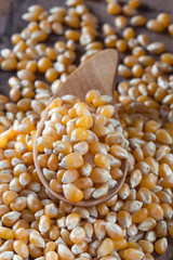 Dry corn kernels on a wooden spoon and pile of dry corn kernels, set on a wooden table.