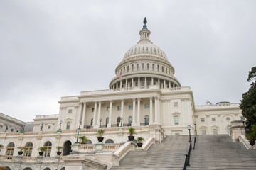 Fototapeta premium The United States Capitol building in Washington DC, United States of America