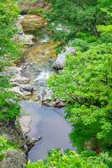 利根川水系泙川