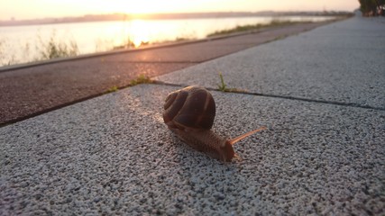 reading book at lakeside park at sunset