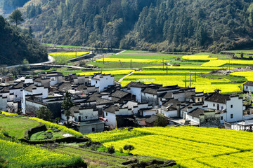 The village and town scenery of Wuyuan County, Shangrao, Jiangxi Province, China