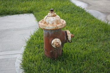 fire hydrant in garden