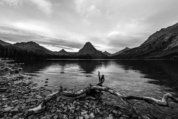 Two Medicine Lake at Dawn