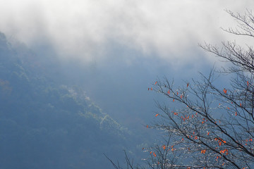 朝の景色