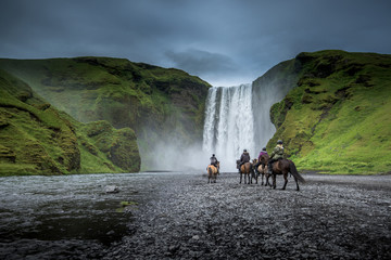 Skogafoss waterfall in Winter, Iceland - obrazy, fototapety, plakaty
