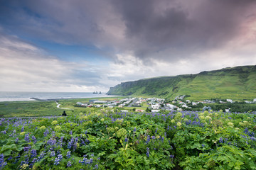 Beautiful Vik village in south Iceland