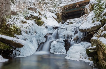 Frozen waterfall in an alpine environment, surrounded by snow-covered rocks and vegetation