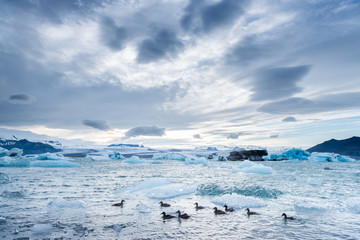 Jokulsarlon glacier ice lagoon, Iceland