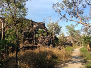 Fototapeta na wymiar Very dry landscape around Darwin, Australia that can catch fire quickly