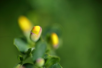 Christmas, love, for me to you, capture, text