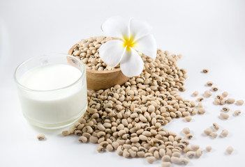 Soymilk placed on a white backdrop