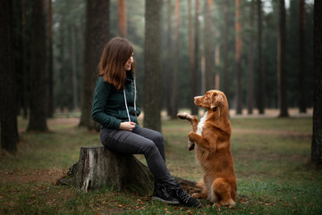 girl with a dog in the forest. Walking with a pet in nature, obedient, owner