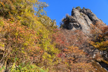 妙義山の紅葉