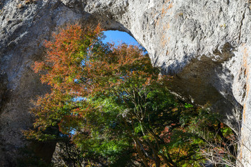 妙義山の第一石門とイロハモミジの紅葉