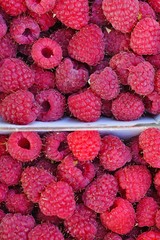 Fresh raspberries in containers at a farmers market
