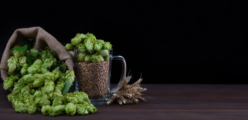 Brewing concept. Beer glass with malt and wheat, and fresh green hops like a foam on dark wooden table. Empty space for text. Black background