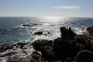 rocks and the sea in Algarrobo Chili