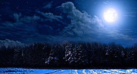 night landscape with stars - 291078269