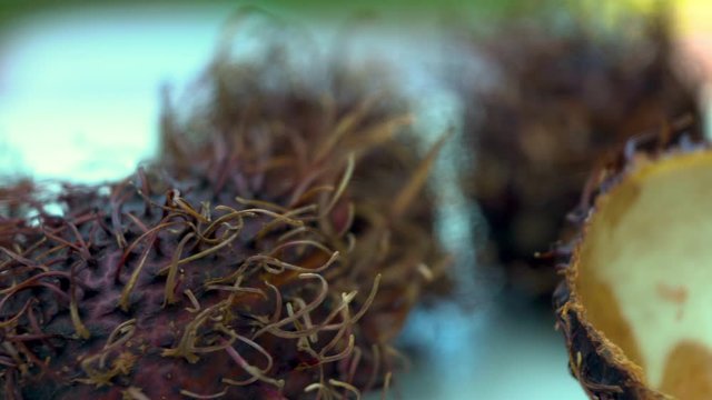Extra large close up panning shot of rambutan fruits