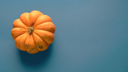 Pumpkin on blue background.