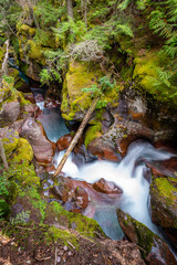 Avalanche Creek 