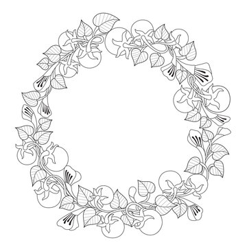 Hand drawn sketch illustration of flower wreath for adult coloring book.