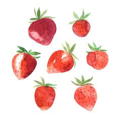 Watercolor hand painted strawberry