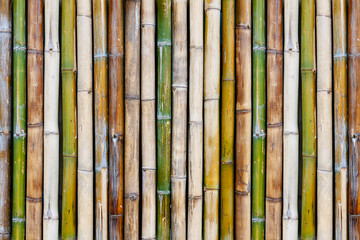 Bamboo fence, Bamboo wall texture and background.