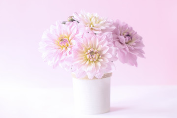 delicate white and pink floral background. bouquet of pink flowers in a vase closeup. holiday card with pink dahlias.