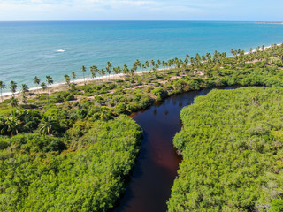 Aerial view of river next tropical beach and ocean.