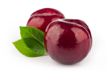 ripe red plum on white background