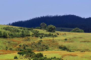 6th mile , a popular shooting spot at ooty in tamilnadu in india