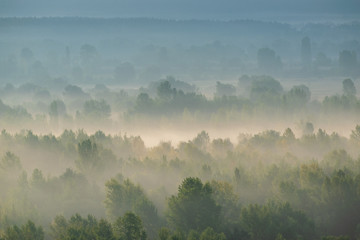 Fog on sunrise