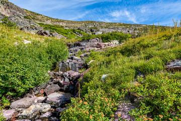 Fototapeta premium The Grinnell Glacier Trail