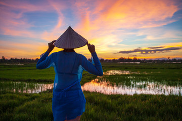 girl in a traditional Vietnamese hat, stands in rice fields in the rays of sunset light