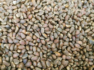 Pine nuts in shells. Close-up photo