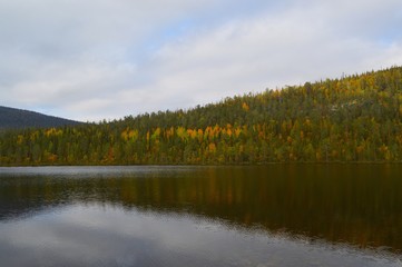 lake in autumn forest